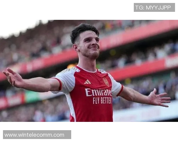 德克兰赖斯：从政治舞台到国际关系的深度解析与影响探讨