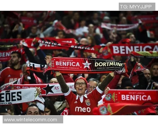 欧冠门票系统崩溃数万球迷苦等12小时抢购心碎失望