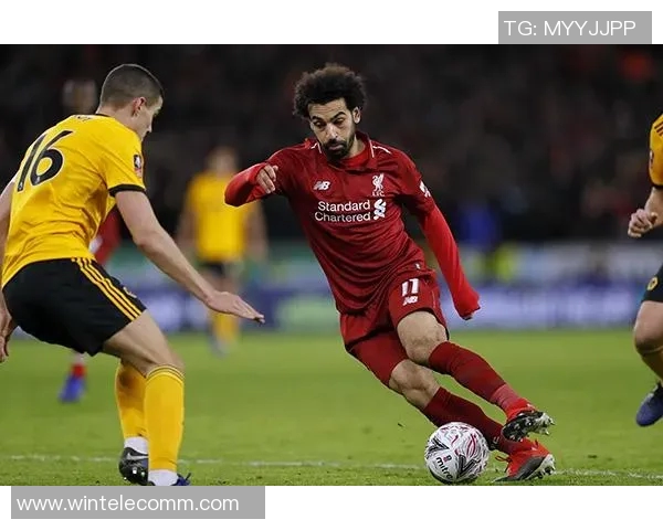 加克波的崛起与未来展望：从天赋少年到足球明星的蜕变之路