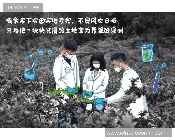 神秘人对决太阳推介揭示比赛背后的秘密与策略分析