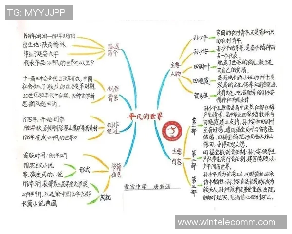 焦泊乔的成长之路：从平凡少年到卓越领袖的奋斗历程
